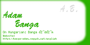 adam banga business card